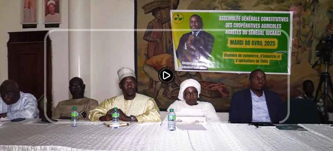 Thiès : Des organisations Agricoles et artisanal de 112 membres lancent un consortium