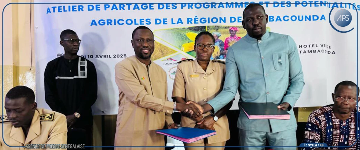 Tambacounda : l’ADL et la SODAGRI en synergie pour la valorisation des produits agricoles