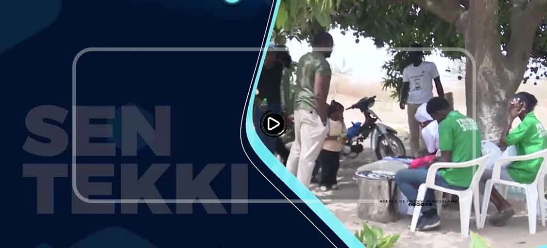SEN TEKKI…. De la faculté de droit à l’agriculture FRAISEN , le résultat de la persévérance…