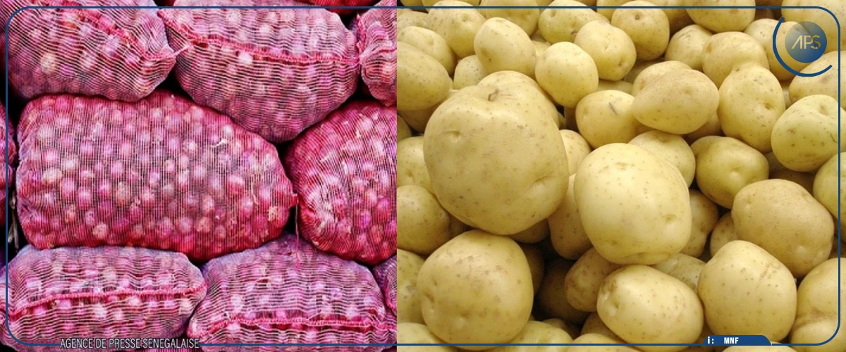 La commercialisation d’oignons et de pommes de terre de l’agro-business suspendue jusqu’au 15 juin
