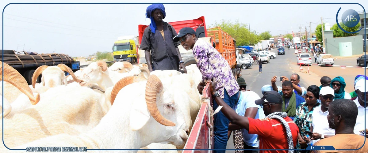Tabaski : 80.000 moutons ont transité via le poste frontalier de Kidira (officiel)