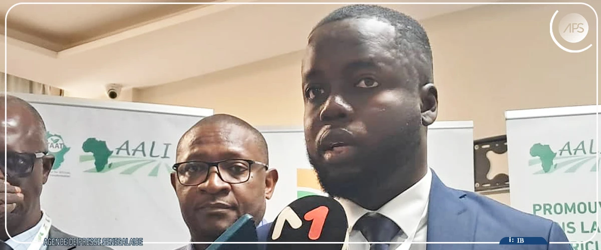 Quatre cent cinquante tonnes de semences produites en cinq ans au Sénégal, avec le soutien de la BAD