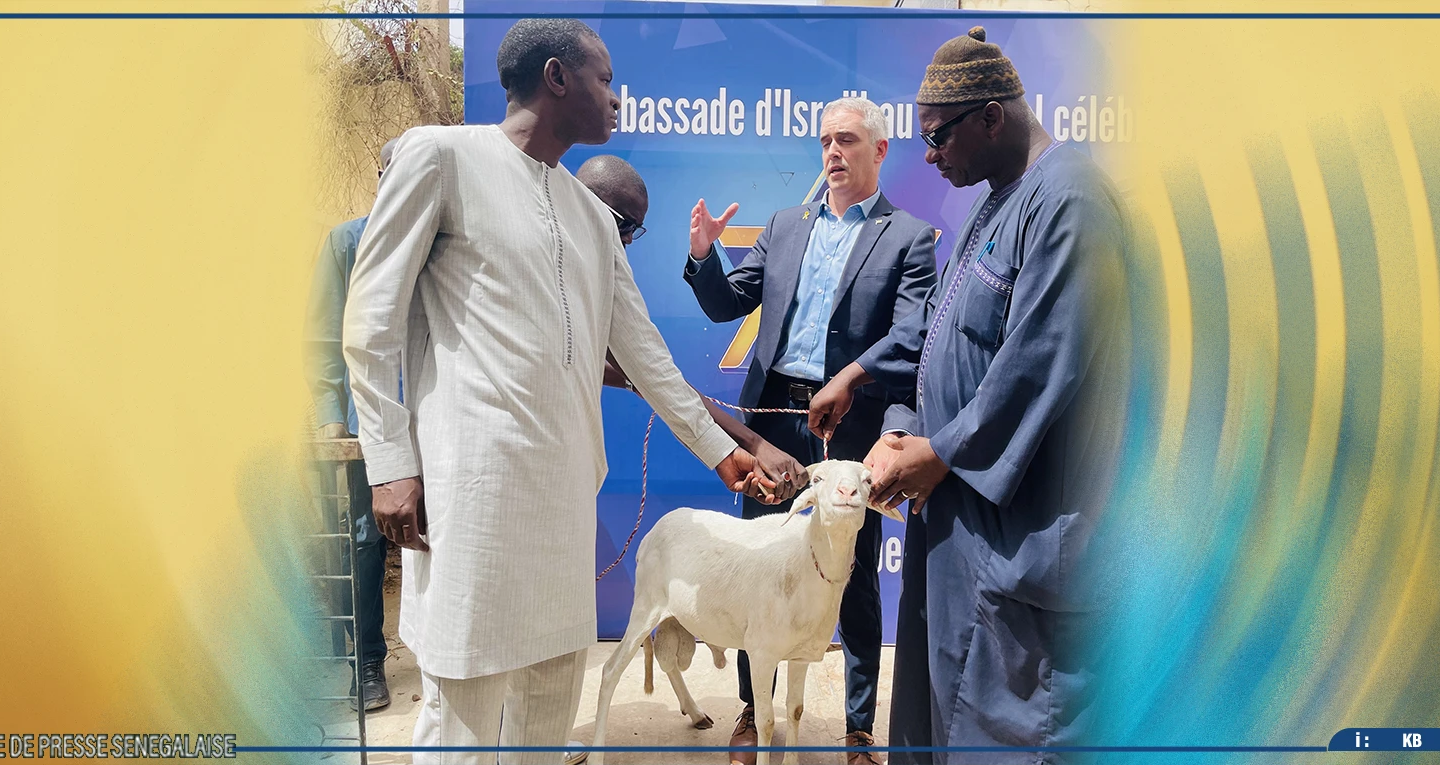 Tabaski : l’ambassade d’Israël à Dakar offre 77 moutons à des familles démunies