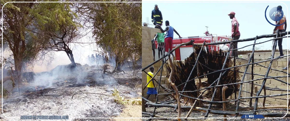 Mbane : un incendie ravage une case et calcine deux poteaux électriques à Temeye
