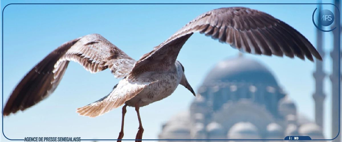 Célébration de la Journée mondiale des oiseaux migrateurs, samedi à l’UCAD