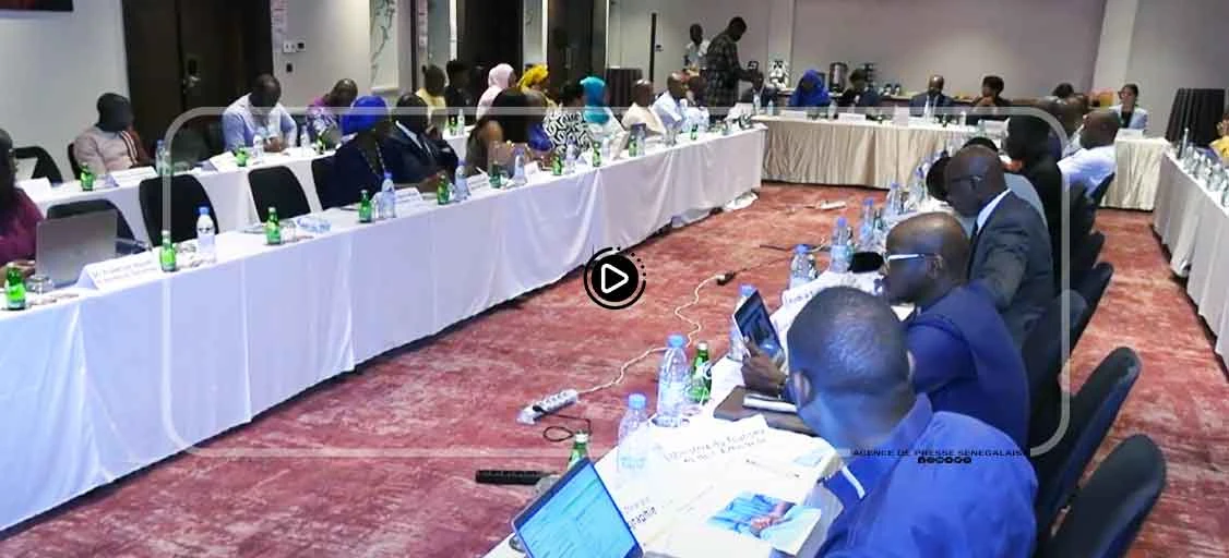 Financement de la protection sociale Sénégal : les conclusions du rapport final de l’étude partagées