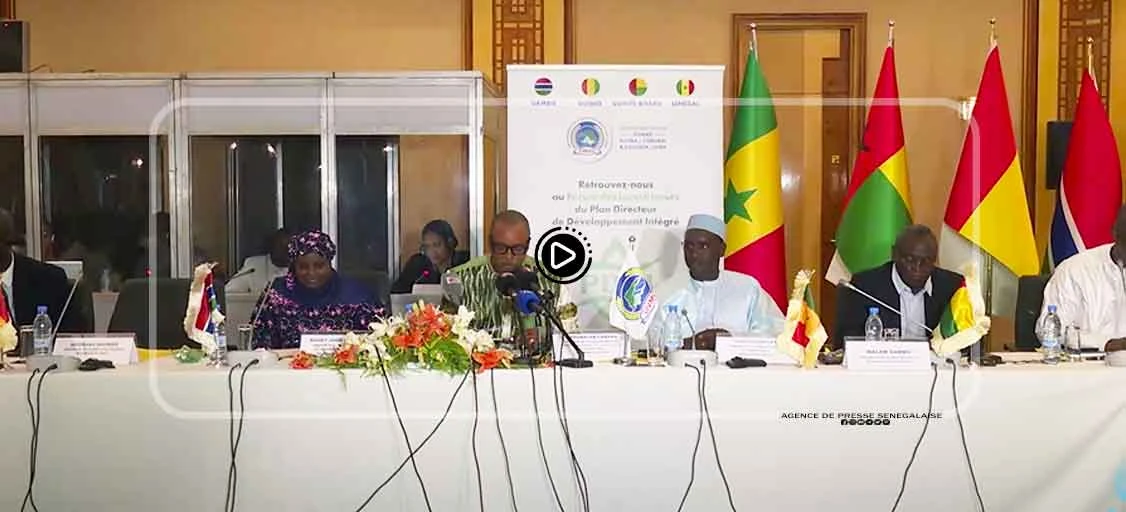 14ᵉ Session Extraordinaire de l’OMVG les États misent sur la SOGESART pour garantir un accès stable à l’énergie