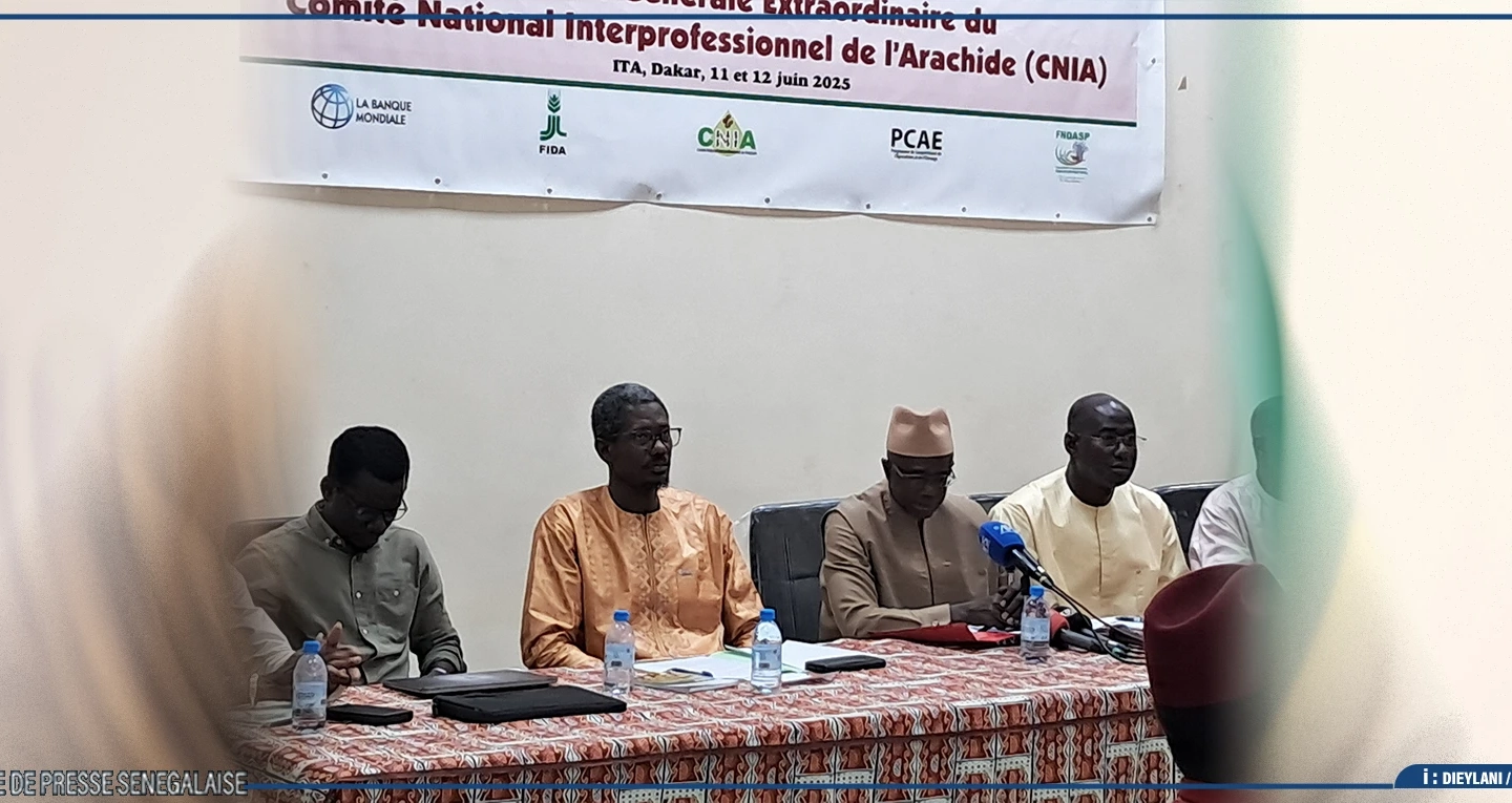 Un comité de normalisation installé pour ”représenter et gérer” le CNIA
