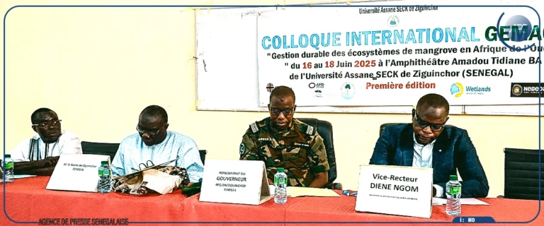 Ziguinchor : ouverture d’un colloque sur la gestion des écosystèmes de mangrove en Afrique de l’Ouest