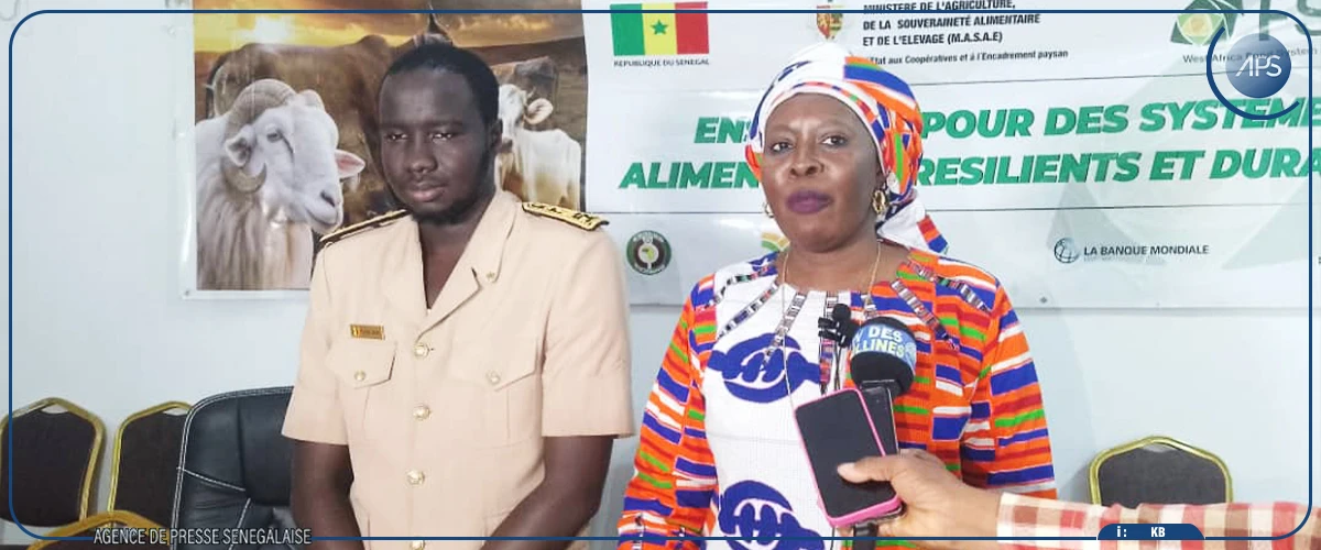 Kédougou : des producteurs privés de la chaîne de valeurs agro-pastorale invités à postuler massivement aux financements du FSRP