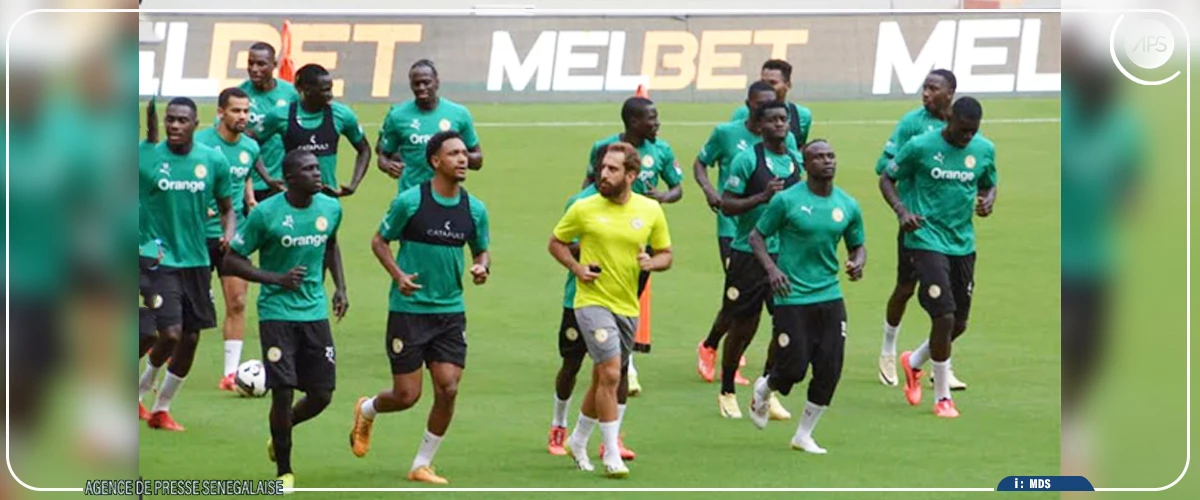 Les Lions en stage à Dublin avant leurs amicaux face à l’Irlande et l’Angleterre