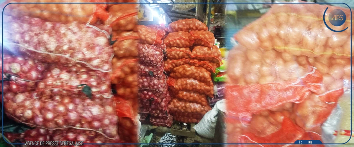 Dahra : le marché bien approvisionné en pommes de terre et en oignon malgré une hausse des prix