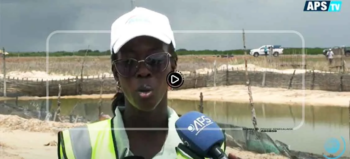 L’ANA remet des alevins à des aquacultrices d’Etama, dans la région de Ziguinchor
