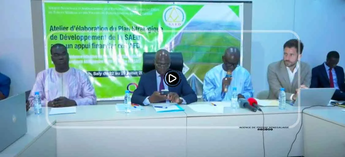 Contre-saison chaude : 10.000 hectares de plus emblavés dans la vallée du fleuve Sénégal