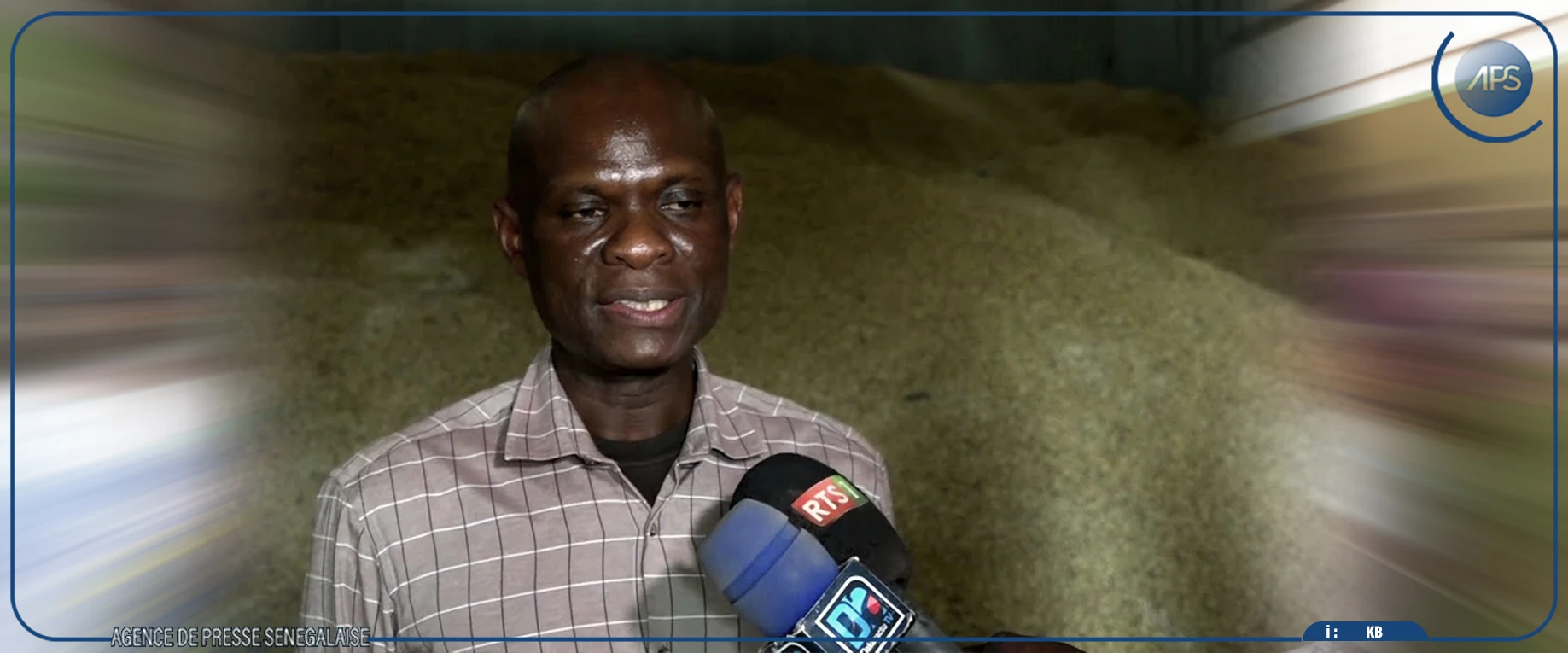 Diourbel : l’hivernage s’installe progressivement, les activités agricoles démarrent ‎