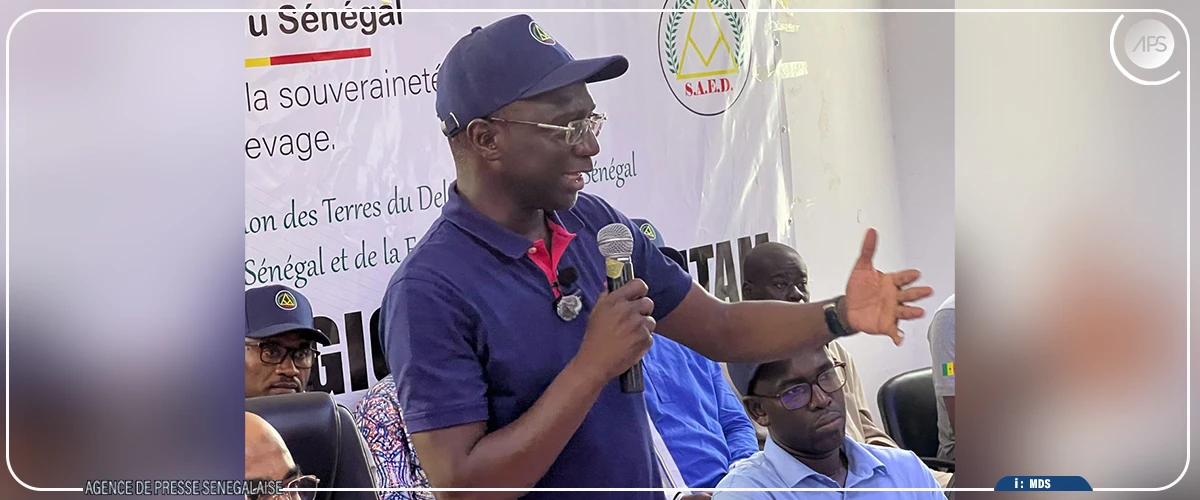 Mabouba Diagne promet deux moissonneuses-batteuses et deux tracteurs aux riziculteurs de Kobilo
