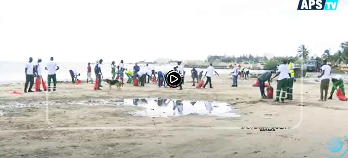 Baie de Hann-Bel Air : une mobilisation citoyenne pour nettoyer la plage après la houle