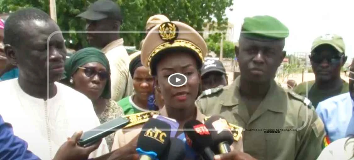 Kaolack : les amazones du Fouladou apportent une contribution de mille plants et des gabions pour le reboisement des 41 communes de la région