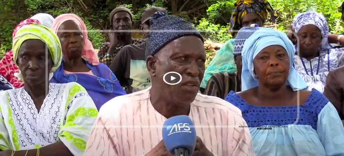 Une organisation paysanne plaide pour la préservation de l’agriculture familiale et des semences