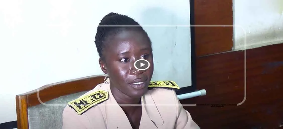 Préparatifs de la 31e édition de Jullig Geej Gi : le gouverneur de Dakar reçoit le Kureel Fattaliku