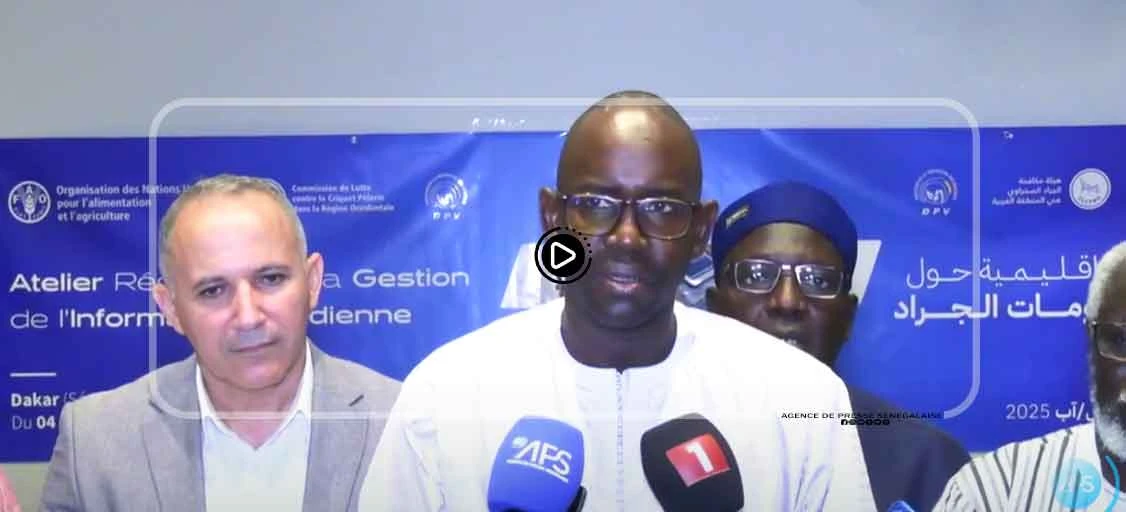 Gestion acridienne : des acteurs régionaux formés à l’usage de l’information stratégique