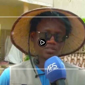 Kaolack : le projet Salouma remet des kits agricoles à de jeunes producteurs