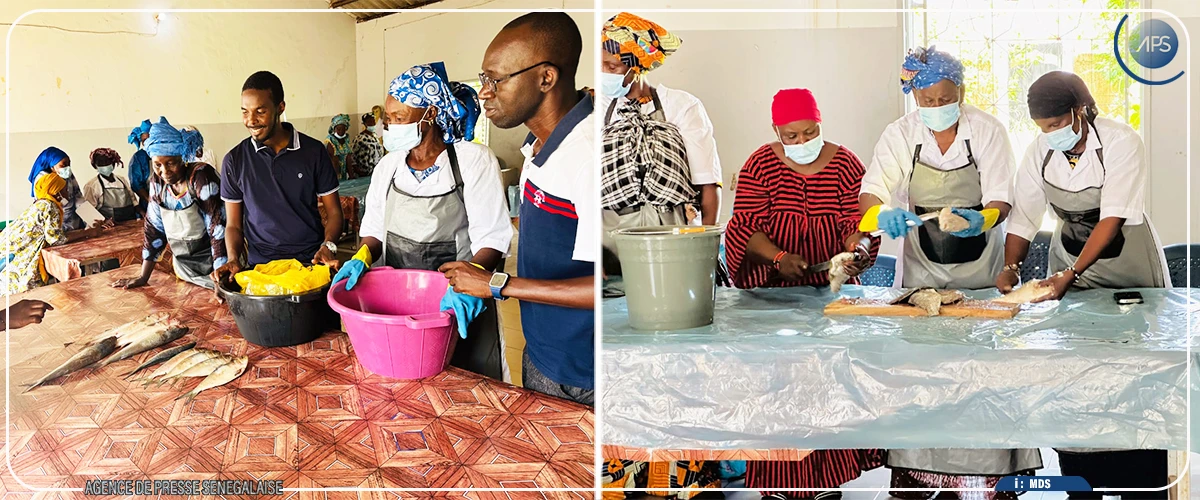 Bakel : 25 femmes formées aux techniques modernes de transformation de produits halieutiques