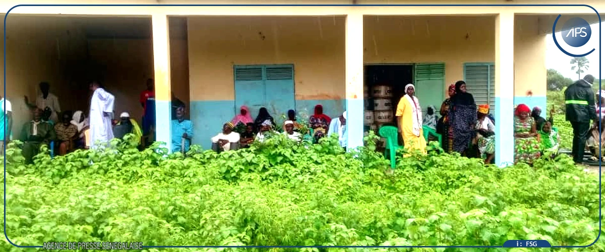 Sédhiou : les habitants de Niaghoump réclament l'achèvement des travaux de leur ferme agricole