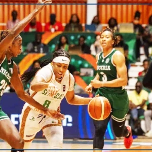 Les Lionnes tombent en demi-finale face aux D'Tigress