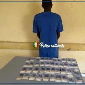 Saint-Louis : un individu interpellé pour mise en circulation de fausses monnaies (police)