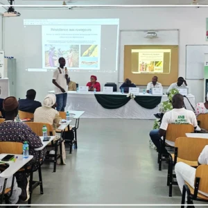 Des activités d’animation scientifique sur la biotechnologie moderne, à l’université Iba-Der-Thiam