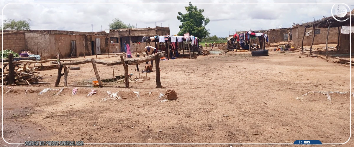 Matam : le village de Diamel dans l'angoisse d'un débordement du fleuve Sénégal