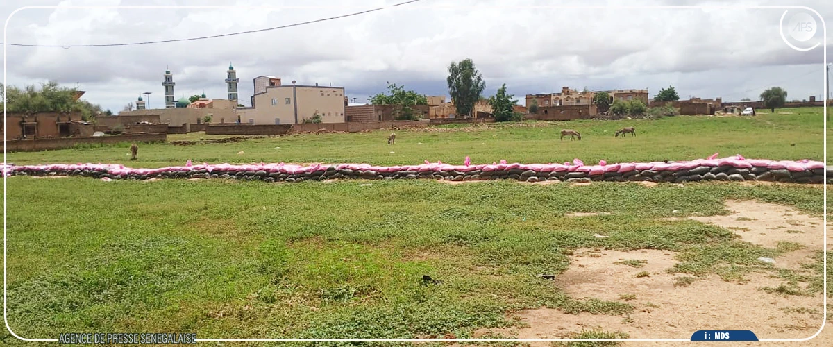 Matam : le village de Diamel dans l'angoisse d'un débordement du fleuve Sénégal