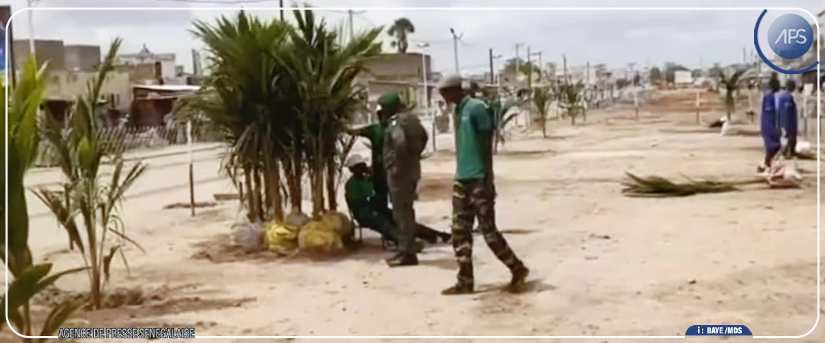 Daouda Ngom mise sur le reboisement pour relever les défis environnementaux