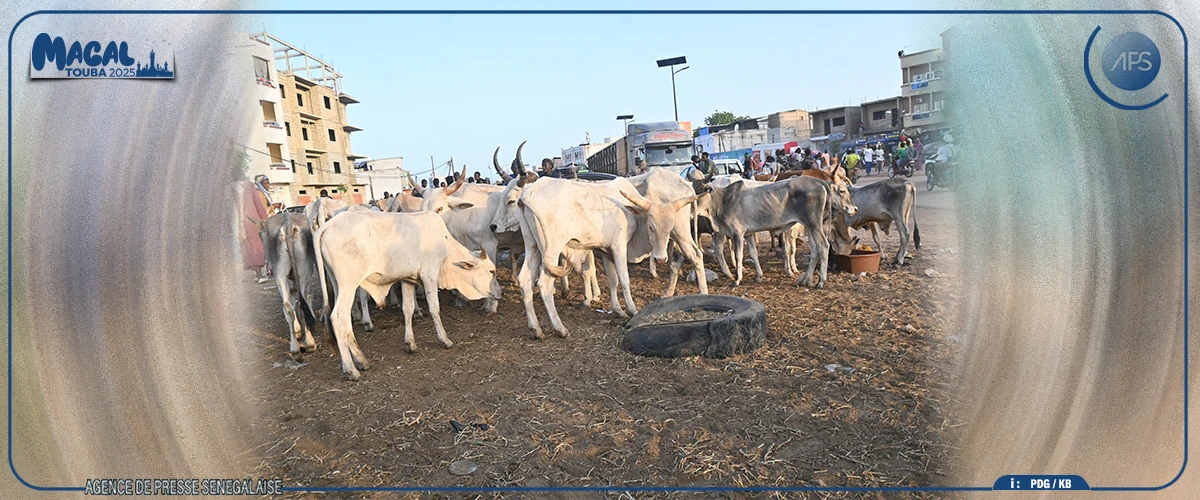 "Usine Khorom", foirail-carrefour des affaires et de la foi