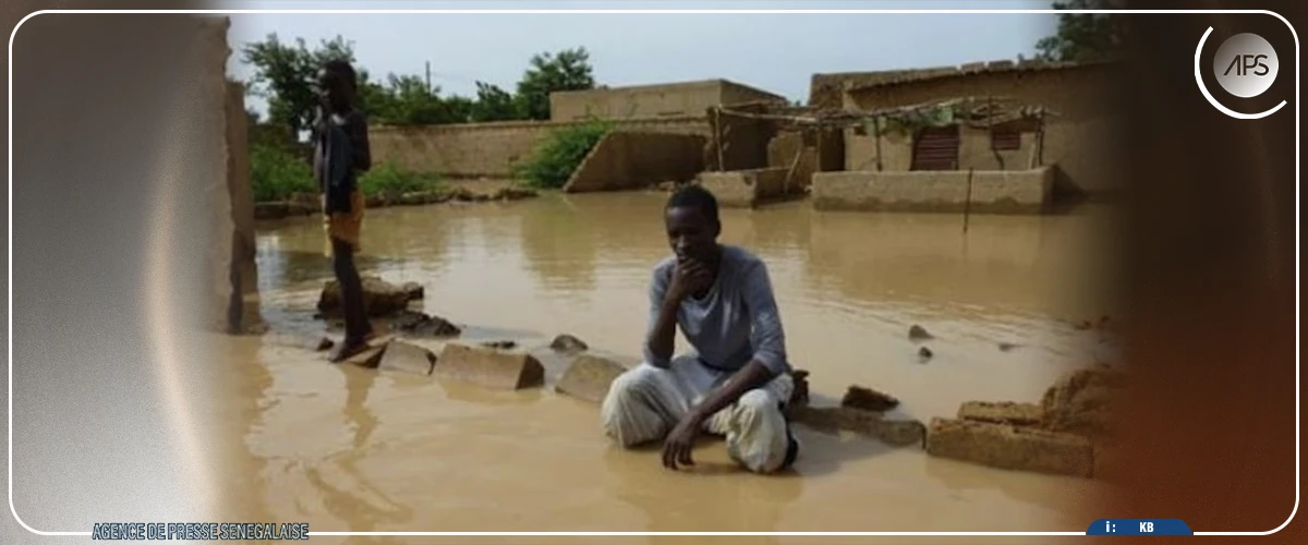 Les pluies déciment du bétail et endommagent des salles de classe dans le département de Podor