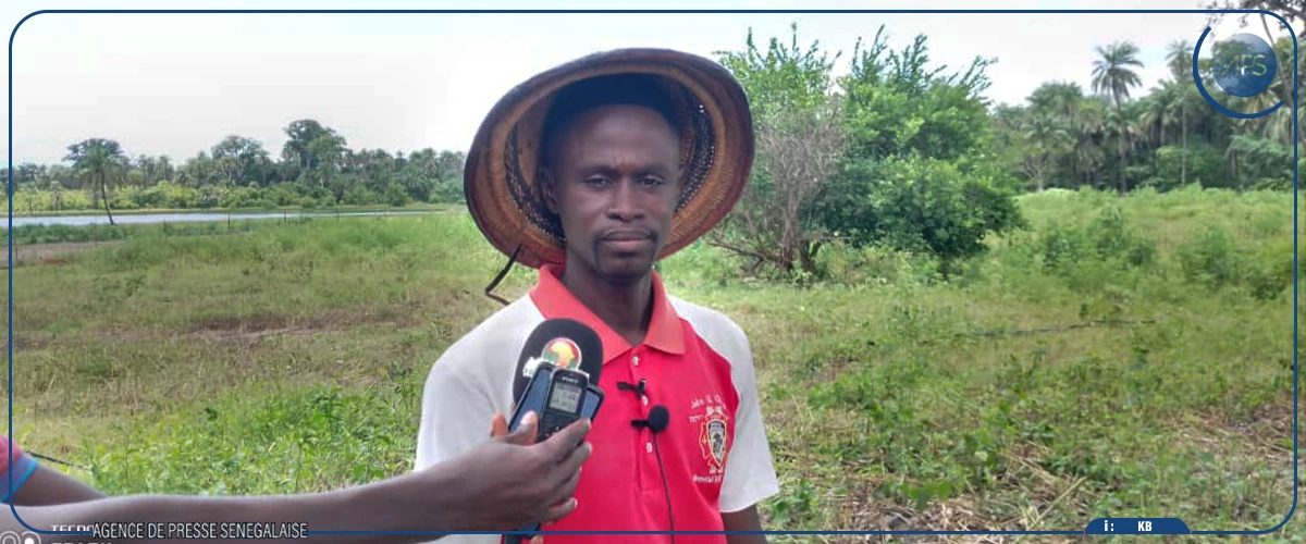 A Sedhiou, un projet contribue à l'autonomisation économique des femmes et des jeunes (bénéficiaires)