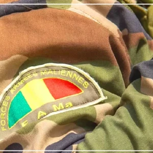 Mali : des militaires et un ressortissant français arrêtés pour "tentative de déstabilisation" (porte-parole du gouvernement)