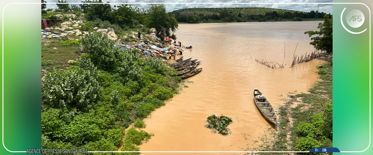 Bakel : les risques de débordement du fleuve Sénégal suscitent les inquiétudes de la population 
