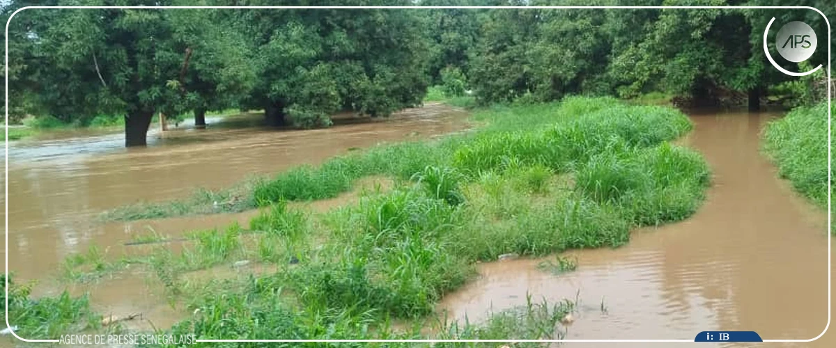 Fleuves Gambie et Sénégal : les riverains invités à maintenir les mesures préventives de la crue