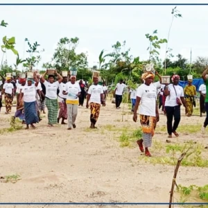 Abéné : lancement des activités de restauration de l'ancien site d'exploitation du zircon