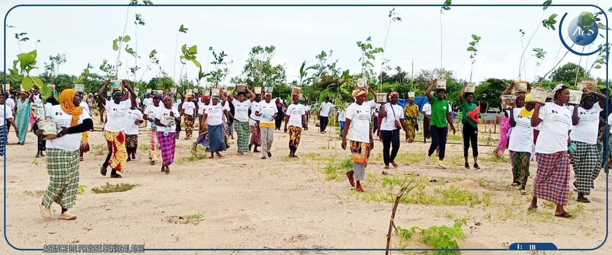 Abéné : lancement des activités de restauration de l'ancien site d'exploitation du zircon