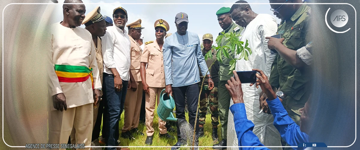 Daouda Ngom annonce une ‘’restauration écologique’’ des anciennes carrières de Birkelane