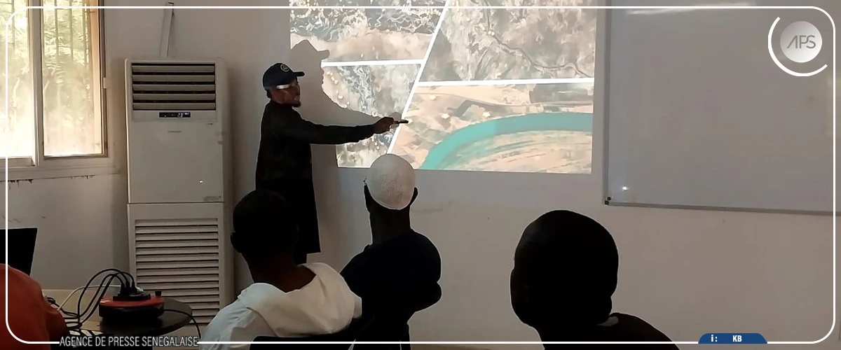 Campagne de décrue : plus de 31 000 hectares emblavés à Matam, selon une étude de la SAED