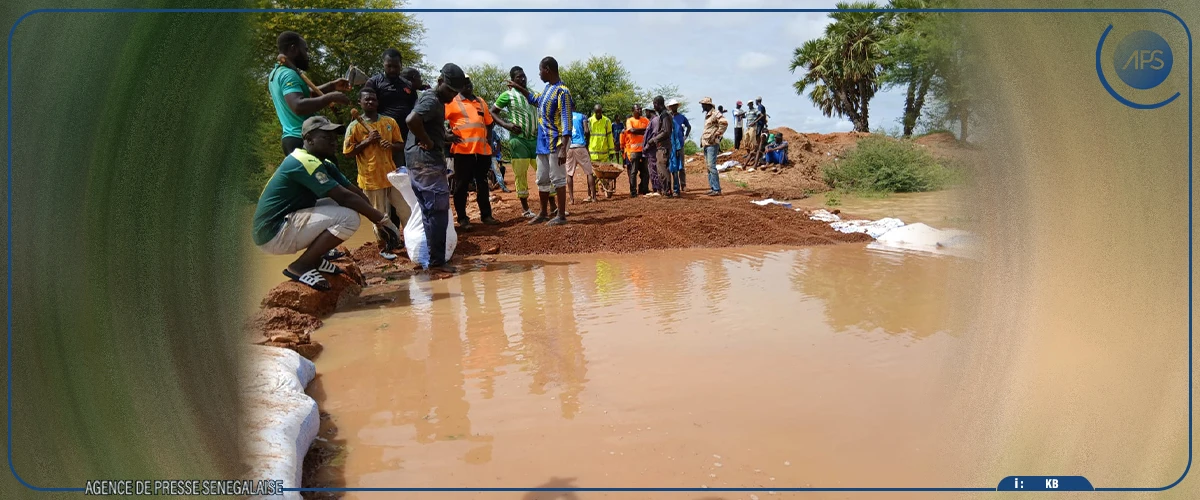 La route reliant Dembancané et Thianiaf envahie par les eaux du fleuve Sénégal