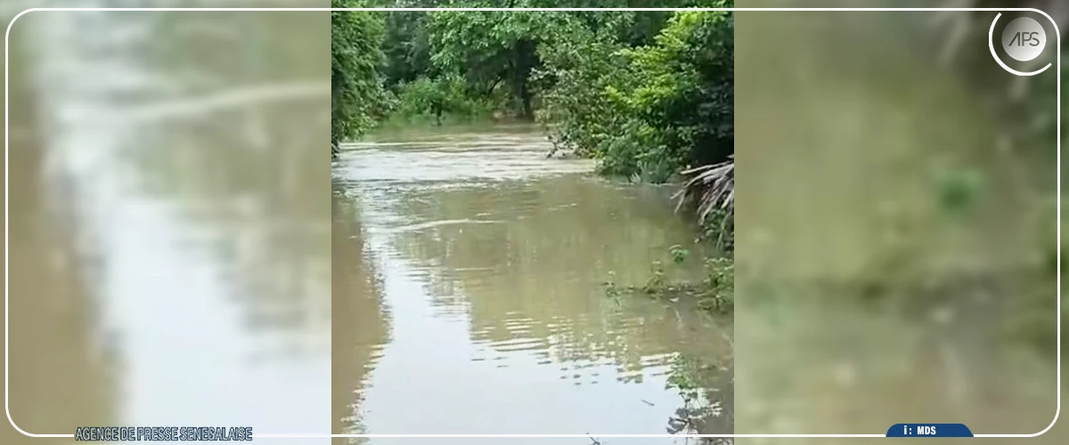 Kédougou : plusieurs villages impactés par la crue du fleuve Gambie