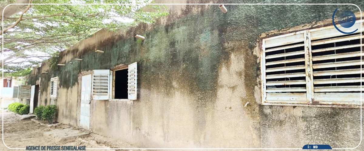 Thiès : plaidoyer pour la rénovation de trois salles de classe de l'école Issa Dème