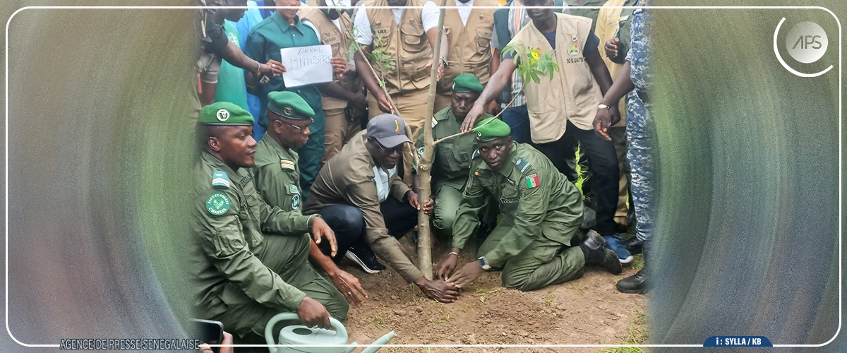 Koussanar : des activités de reboisement initiées pour restaurer la forêt classée de Ouli
