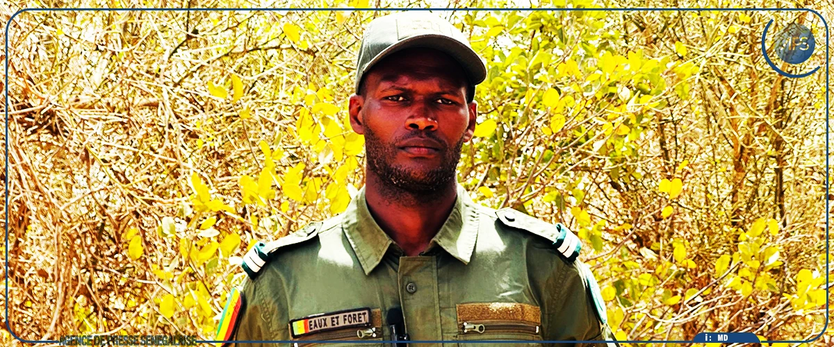 Les rôles ”très importants” du baobab et du manguier mis en exergue