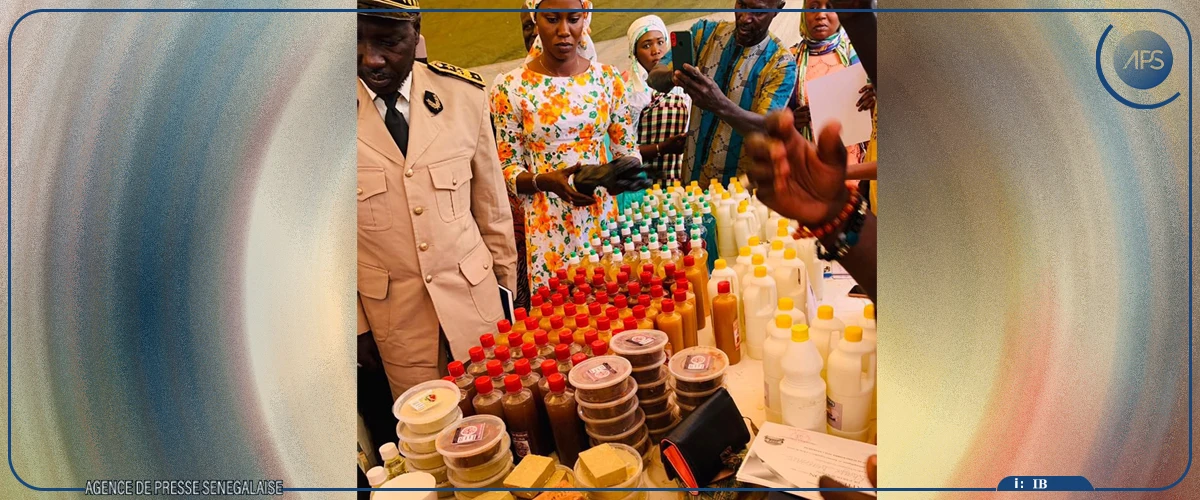 Niakhène : 100 femmes financées par la DER/FJ